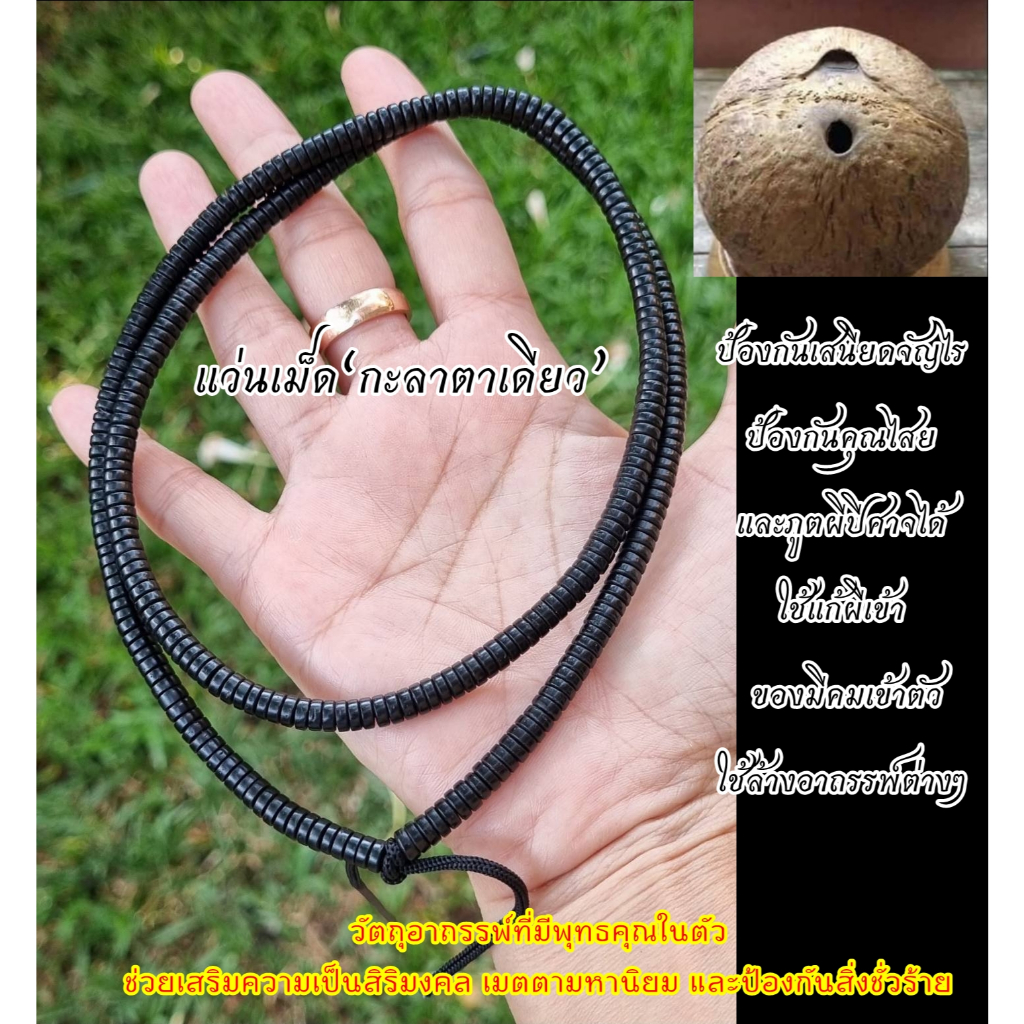 กะลาตาเดียว วัตถุมงคลจากธรรมชาติ เม็ดกะลาตาเดียว ขนาดแว่นเม็ด 4 มิล อะไหล่สร้อยกะลาตาเดียวแท้ ขนาดความยาว 26 นิ้ว