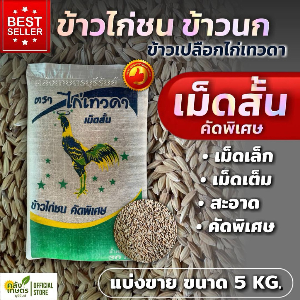 [ ขายดี ] ข้าวไก่ชนเกรดA เม็ดสั้น สะอาด ปลอดภัย ไม่คันคอ บรรจุ800กรัม - 5 กิโลกรัม รับประกันคุณภาพ100%