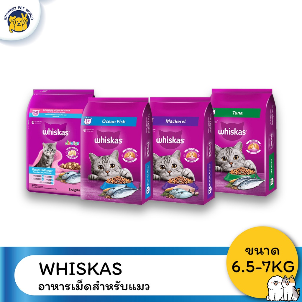 [Live] whiskas อาหารแมว วิสกัส อาหารเม็ดสำหรับแมว ขนาด 6.5-7KG