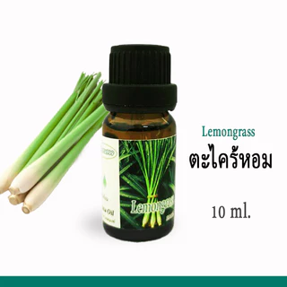 Aroma999 20 กลิ่น นำมันหอมระเหยเข้มข้นสปาพรีเมี่ยม 3-5หยดหอมทั่วห้อง พร้อมส่ง