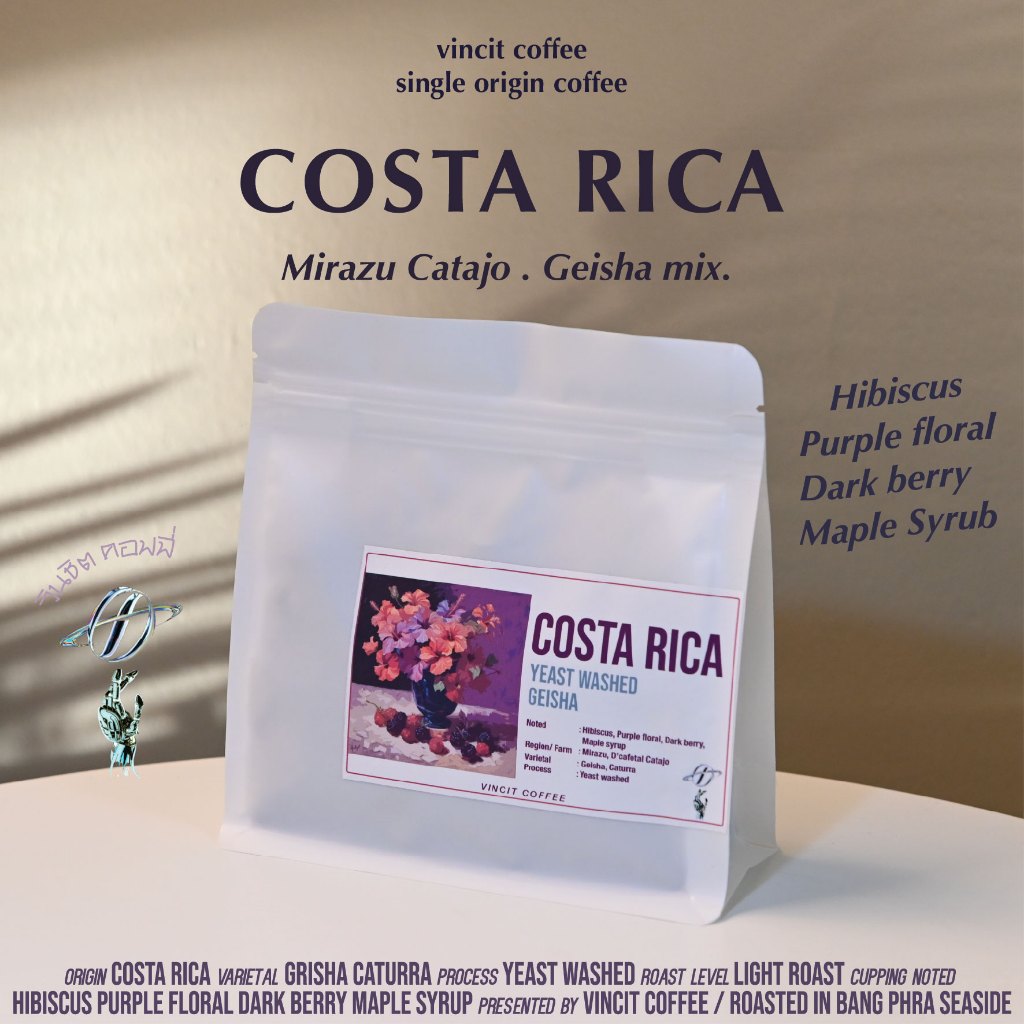 เมล็ดกาแฟคั่ว Costa Rica Geisha Mirazu D'Cafetal Catajo, Light roast