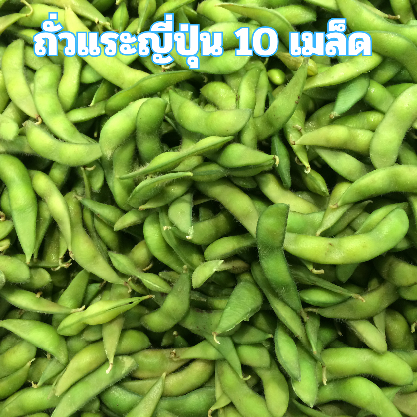 เมล็ดพันธุ์ถั่วแระญี่ปุ่น 10 เมล็ด