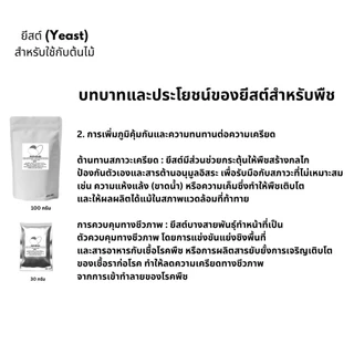 ยีสต์สำหรับต้นไม้ช่วยส่งเสริมการเจริญและป้องกันโรคพืชยีสต์สำหรับต้นไม้PGPYป้องกันโรคส่งเสริมการเจริญเติบโต