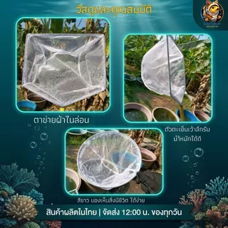 กรชอนตาห่าง ขนาด 9.5 นิ้ว และ 12 นิ้ว สำหรับ ตักลูกน้ำ แบบกลมและเหลี่ยม
