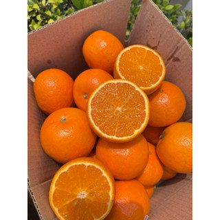 ส้มไต้หวัน แมนดาริน 3 กก รวมลัง หอม หวาน อร่อย สดชื่น