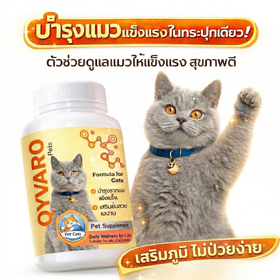 วิตามินแมวผอม เบื่ออาหาร เพิ่มน้ำหนัก บำรุงขน เสริมภูมิ Beta Glucan+Lysine+DL-Methionine ป้องกันโรค