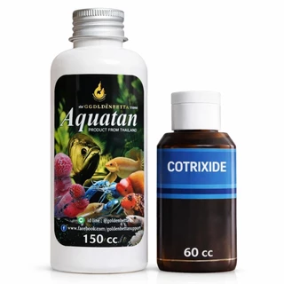 GOLDENBETTA​ แทนนิน​สกัด​ + Cotrixide​ คู่หู​ ดูแลน้ำ​ (เลือกสีน้ำ​ เลือกขนาด)