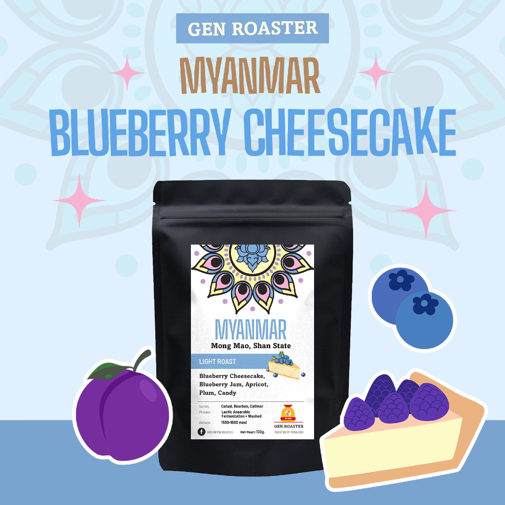 GEN Roaster เมล็ดกาแฟคั่วอ่อน Myanmar Blueberry lot Shan state เมียนมา พม่า เบอร์รี่ ชีสเค้ก 100g