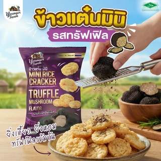 ข้าวแต๋น มินิ ยังเกอร์ ฟาร์ม Younger Farm Mini Rice Cracker 60-80 g.