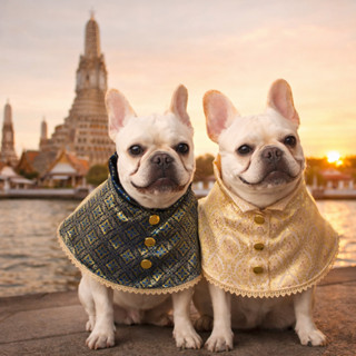 Cape คอสำหรับสัตว์เลี้ยงลายผ้าไทย หรูหรา ใส่ง่าย ต้อนรับทุกเ…