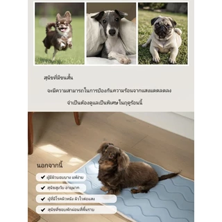 ที่นอนเย็น เมมโมรี่โฟม สำหรับสัตว์เลี้ยง สัมผัสนุ่ม หลับสบาย