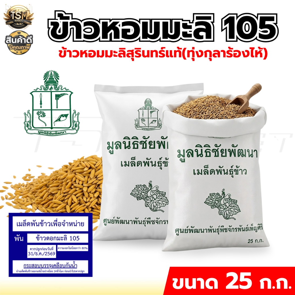 เมล็ดพันธุ์ข้าวหอมมะลิ ตรากรมการข้าว พันธุ์ข้าว105 กข.15 ข้าวปลูก บรรจุ 25 กก. พร้อมส่ง