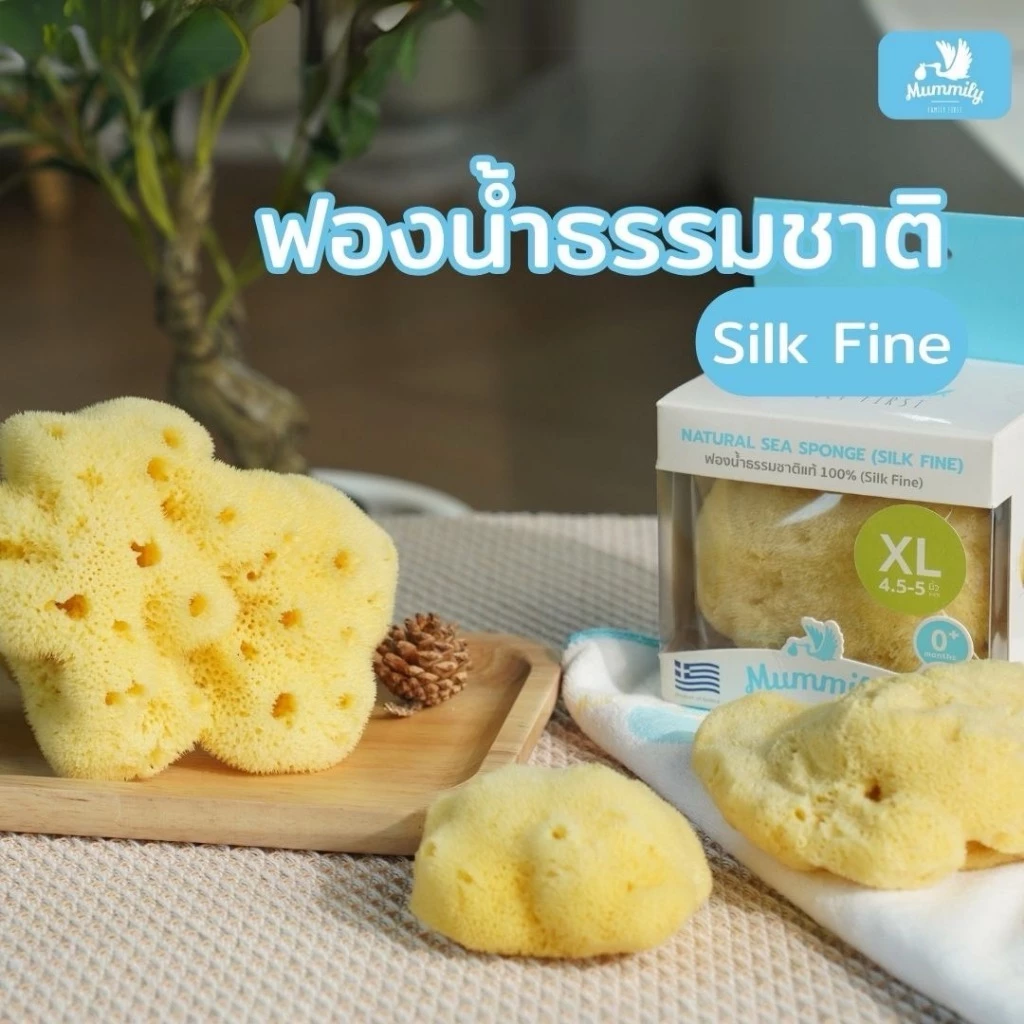 Mummily ฟองน้ำ SILK FINE ฟองน้ำธรรมชาติแท้100% ฟองน้ำอาบน้ำเด็ก