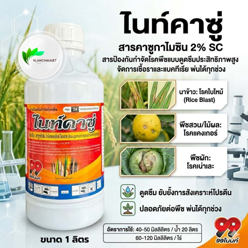 ไนท์คาซู่ 1 ลิตร  สาร คาซูกาไมซิน 2 %   ใช้ป้องกันกำจัด โรคใบไหม้ โรคไหม้คอรวง โรคขอบใบแห้ง #โมคารอล #คาซู่