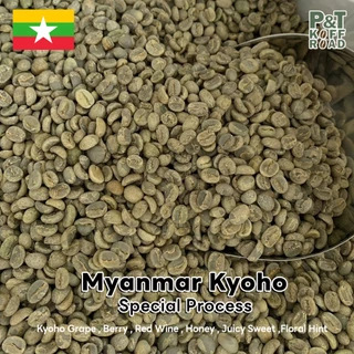 เมล็ดกาแฟดิบ Myanmar Kyoho : Green Bean Myanmar . Special Process บรรจุ 500g. - 1 kg. P&T KoffRoad