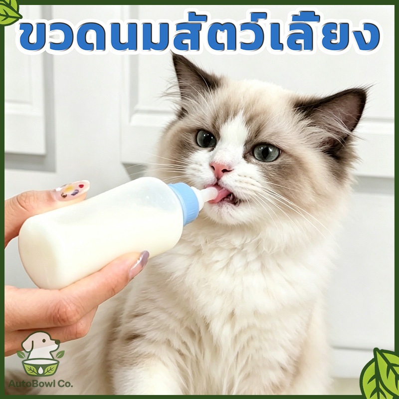 [พร้อมส่ง] ขวดนมสัตว์เลี้ยง 60 มล สำหรับสุนัข แมว กระรอก จุกนมกันรั่วซึม กันฝุ่น รับCOD