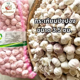กระเทียมปิงปอง 3.5 ซม. คุณภาพดี กลีบแน่น ขายยกกระสอบ 9.5 - 10 กก.
