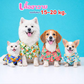 เสื้อลายดอกหมาแมว เสื้อสงกรานต์ ฮาวาย สับปะรด เสื้อลายดอกหมา…