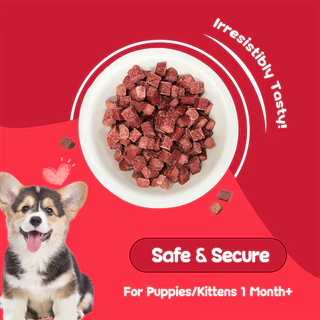 PETLUSCI® ขนมสุนัข ขนมแมว โปรตีนสูง สด อร่อย เนื้อวัวอบแห้งสำหรับสุนัข 500กรัม ทำจากเนื้อวัวแท้ 100%