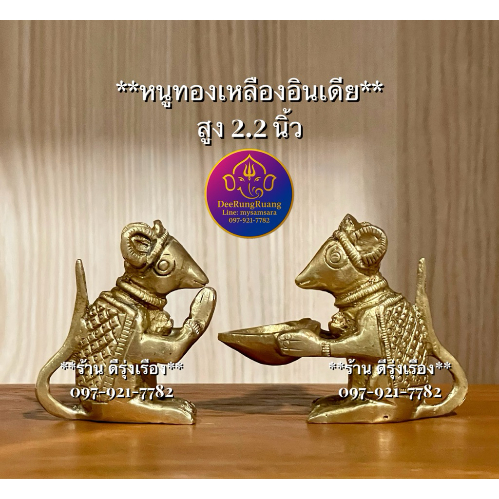 หนูทองเหลืองอินเดีย..สูง 2.2 นิ้ว..**🇮🇳นำเข้าจากอินเดีย**