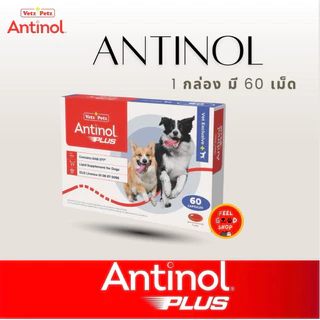 (แพคเกจใหม่ ยกกล่อง ) Antinol Dog exp 02/2028 อาหารเสริมบำรุงข้อสำหรับสุนัข 1 กล่อง บรรจุ 60 เม็ด