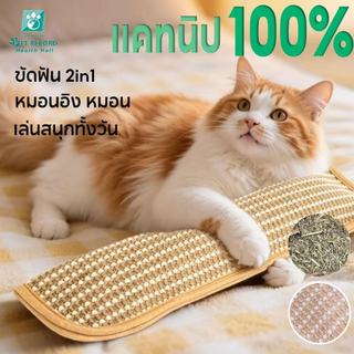 Pet Record หมอนของเล่นแมว Catnip แท้ 100% ทนกัด ทนข่วน แก้เบื่อ ดูแลฟัน สำหรับแมวทุกวัย