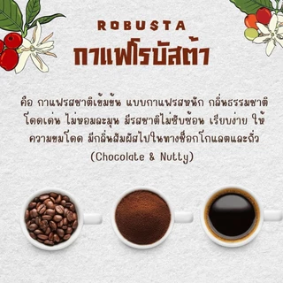 Robusta Brazil Black coffee ผงกาแฟโรบัสต้าบราซิล ผงกาแฟดำ กาแฟสำเร็จรูป