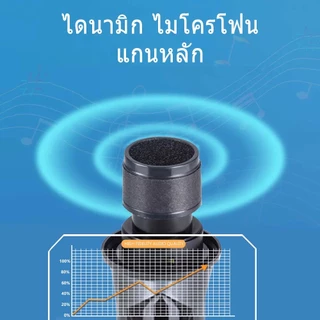 UHF ไร้สาย dual มือถือ ไมโครโฟน แบตเตอรี่ ชาร์จ รับ ระยะทาง ช่วง 50M/164FT ใช้ สำหรับ KTV ปาร์ตี้ งานแต่งงาน การประชุม