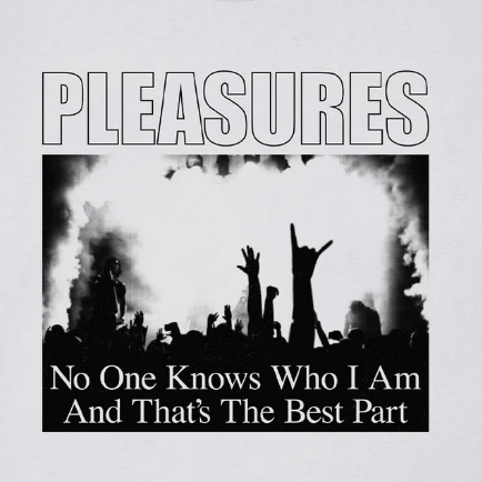 PLEASURES P25W065 INCOGNITO T-SHIRT SILVER — صورة 2