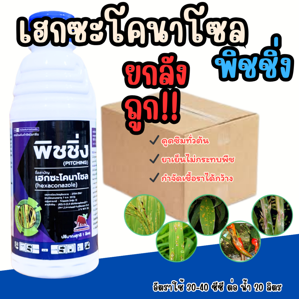 พิชชิ่ง เฮกซะโคนาโซล (ยกลัง 12 ขวด) ขนาด 1 ลิตร ป้องกันกำจัด ราแป้ง กาบใบแห้ง  เมล็ดด่าง แอนแทรกโนส