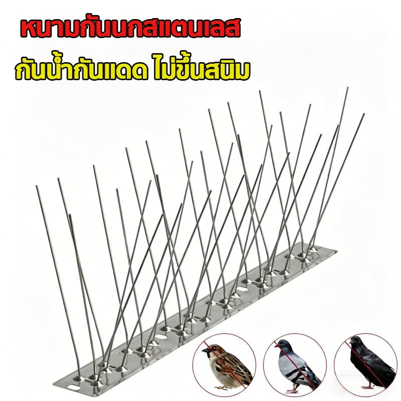 🏠 เข็มแน่นมาก หนามกันนก10ชุด กันนกเกาะ ไล่นก​ ฐานสแตนเลส25-50ซม ไล่นกพิราบ สำหรับ บ้าน คอนโด🐦
