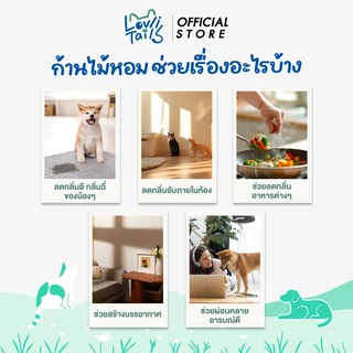 ก้านไม้หอมปรับอากาศ Pet Friendly หอมนาน 2-3 เดือน หอมทั้งคนและสัตว์เลี้ยง LovliTails เลิฟลี่เทล 170 มล.