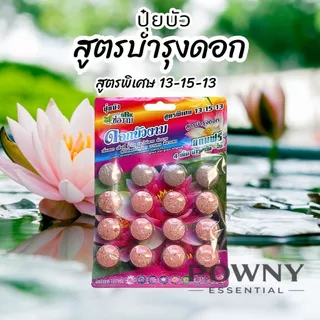 ปุ๋ยบัว ปุ๋ยบอน ปุ๋ยไม้น้ำ เร่งดอก เร่งโต เร่งใบ สีสวย น้ำไม่ขุ่น ปลาไม่ตาย ช่องาม Golden flower