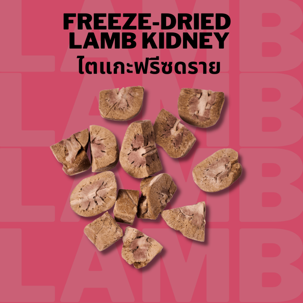 ไตแกะฟรีซดราย Bella's Bites Freeze-dried Lamb Kidney 25g