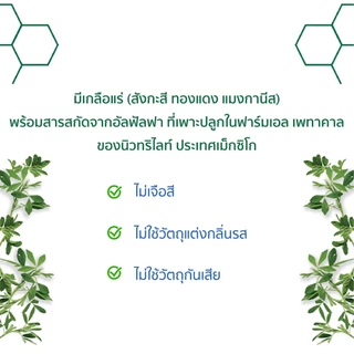 แคลแมกดี นิวทริไลท์ แคลเซียมแอมเวย์ 250 เม็ด ของแท้ 100% ช้อปไทย จัดส่งทั่วประเทศไทย