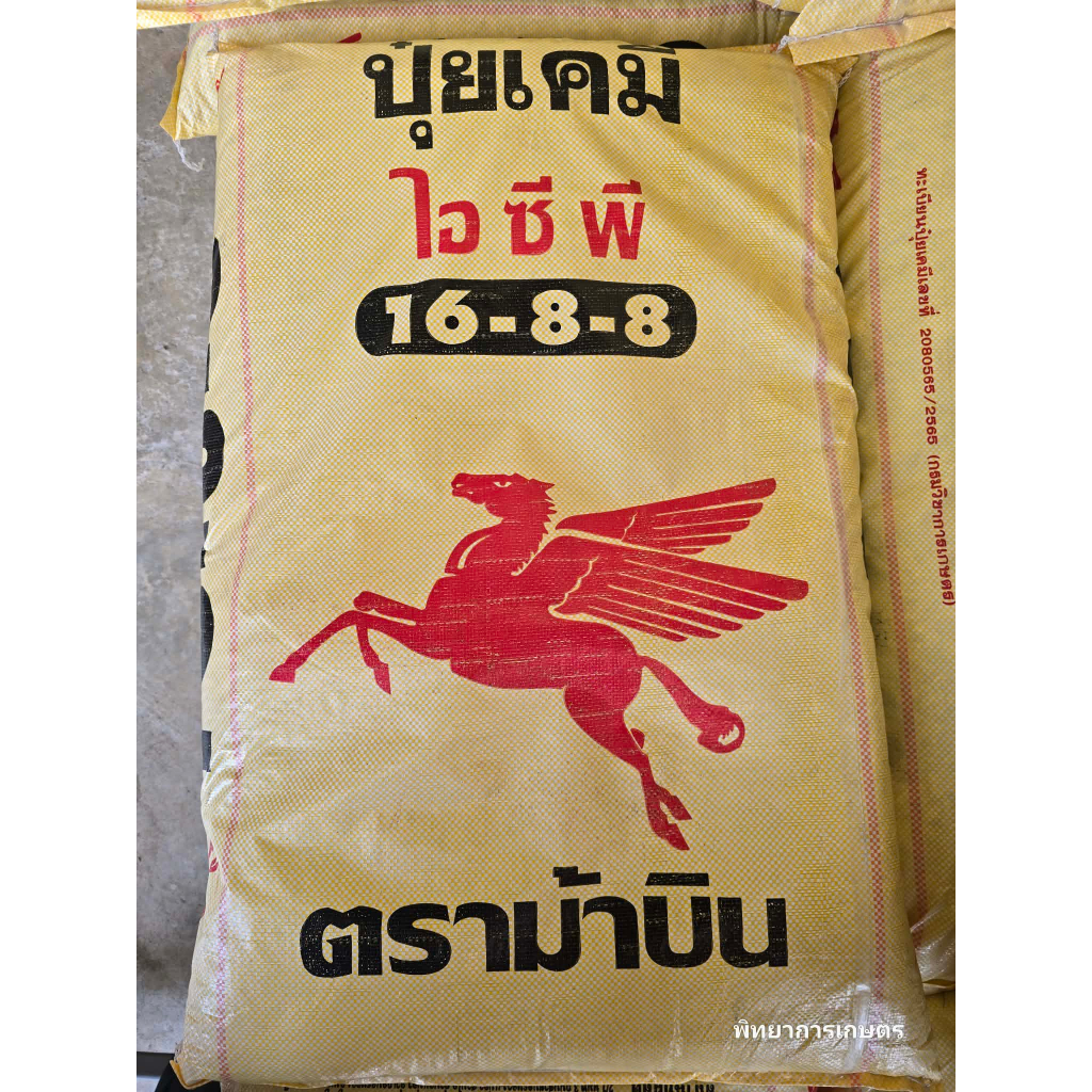(ยกกระสอบ 50 กิโล) ปุ๋ย สูตร 16-8-8 ตรา ม้าบิน รองพื้น เร่งต้น แตกกอ ต้นโตไว ใส่ได้ทุกพืช