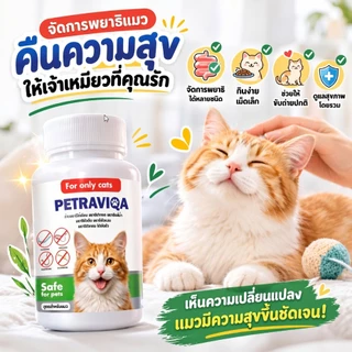 Virapet เสริมภูมิ ขับปรสิต ถ่ายพยาธิแมว ครอบคลุม 6 ชนิด ผอม เบื่ออาหาร ขนร่วง
