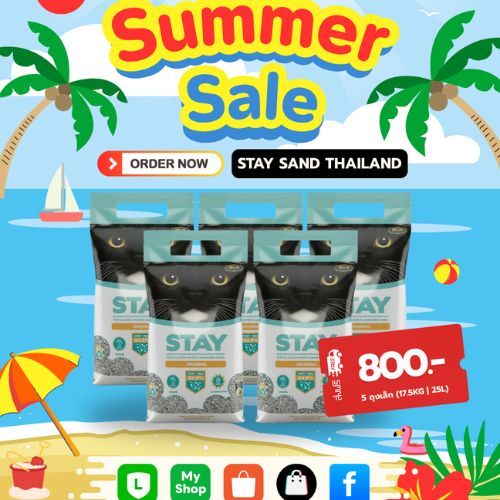 โปรทรายแมว STAY ถุง 5L pack สุดคุ้ม