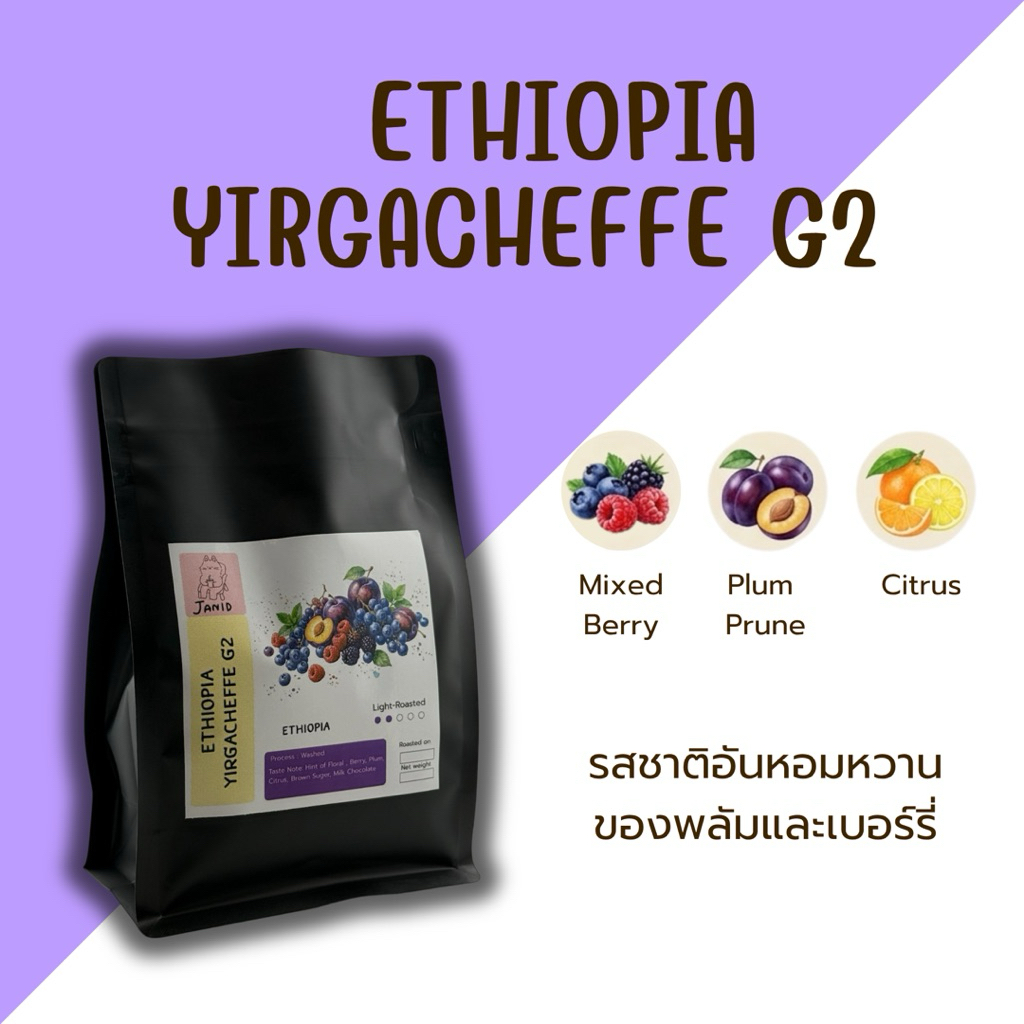 JANID | ETHIOPIA YIRGACHEFFE G2 | Light Roast | Berry / Plum / Citrus / Brown sugar / Chocolate