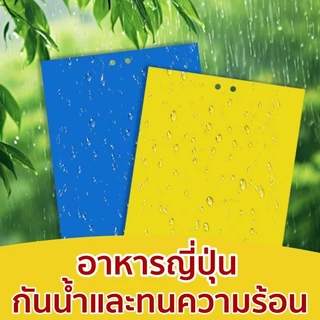 100 ชิ้น แผ่นสติกเกอร์ดักจับแมลง สองด้าน สําหรับกันยุง พืชในสวน ดักแมลงศัตรูพืช กาวดักแมลงวันทอง