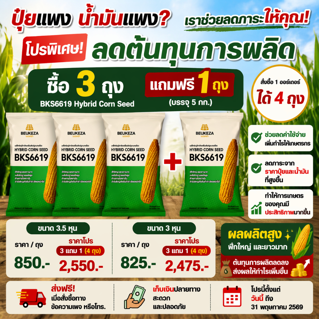 เมล็ดพันธุ์ข้าวโพดเลี้ยงสัตว์ลูกผสม BKS6619 บรรจุ 5 ก.ก. 3แถม1 (สั่งซื้อ 1 ออร์เดอร์ได้ 4 ถุง)