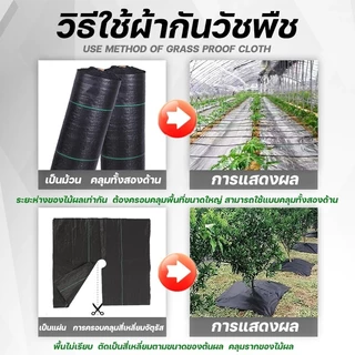 [พิเศษสำหรับไม้ผล] ผ้าป้องกันวัชพืชเจาะรู ผ้าป้องกันวัชพืช พลาสติกคลุมดิน ผ้าคลุมหญ้า พลาสติกคลุมวัชพืช กําจัดวัชพืช