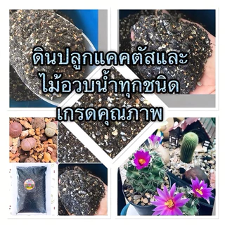ดินปลูกกระบองเพชร แคคตัส ไลทอป ไม้อวบน้ำ สูตรโปร่ง ระบายน้ำดี สำหรับเพาะปลูก พร้อมใช้ ขนาด 1 กก.