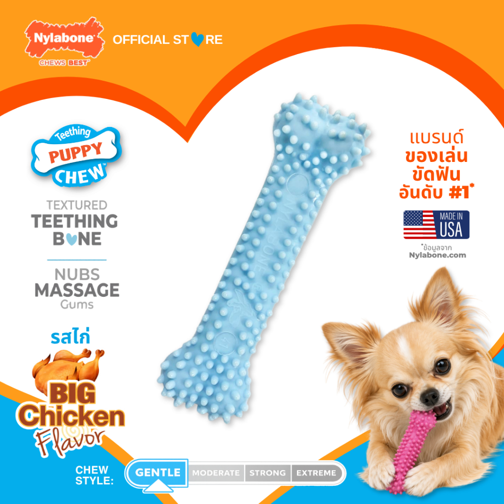 Nylabone Puppy Chew Textured Teething Bone ของเล่นขัดฟันลูกสุนัขฟันกำลังขึ้น รสไก่ไร้สารพิษเนื้อนุ่ม