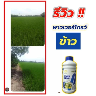 พาวเวอร์โกรว์#PowerGrow#1ลิตรแถม500cc
