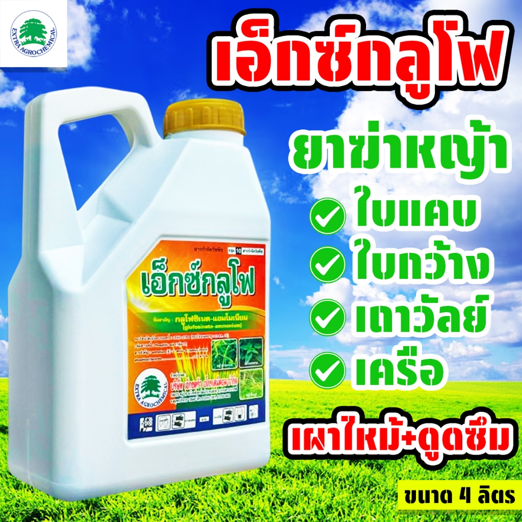 เอ็กซ์กลูโฟ ขนาด 4 ลิตร กลูโฟซิเนตแอมโมเนียม กำจัดหญ้าทุกชนิด ปลอดภัยต่อพืชที่ปลูก