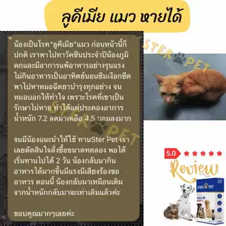 (ของแท้!!) STER PET 1 แถม 1 (สเตอร์เพ็ท) - สารอาหาร ดูแลก้อนเนื้อ สมานแผลปะทุ และยับยั้งมะเร็ง 🐶😻
