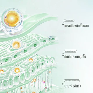BODANA COCONUT OIL CREAM ครีมน้ำมันมะพร้าวอเนกประสงค์ 50g มอยส์เจอร์ไรเซอร์ มะพร้าว โบดานา โคโคนัท