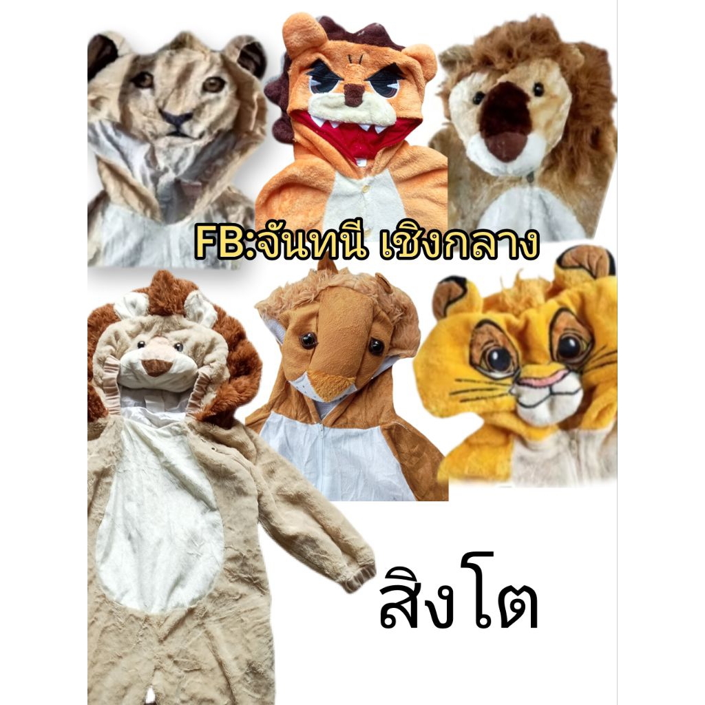 ชุดแฟนซีขนนุ่มเด็กมือสอง สิงโต lion king