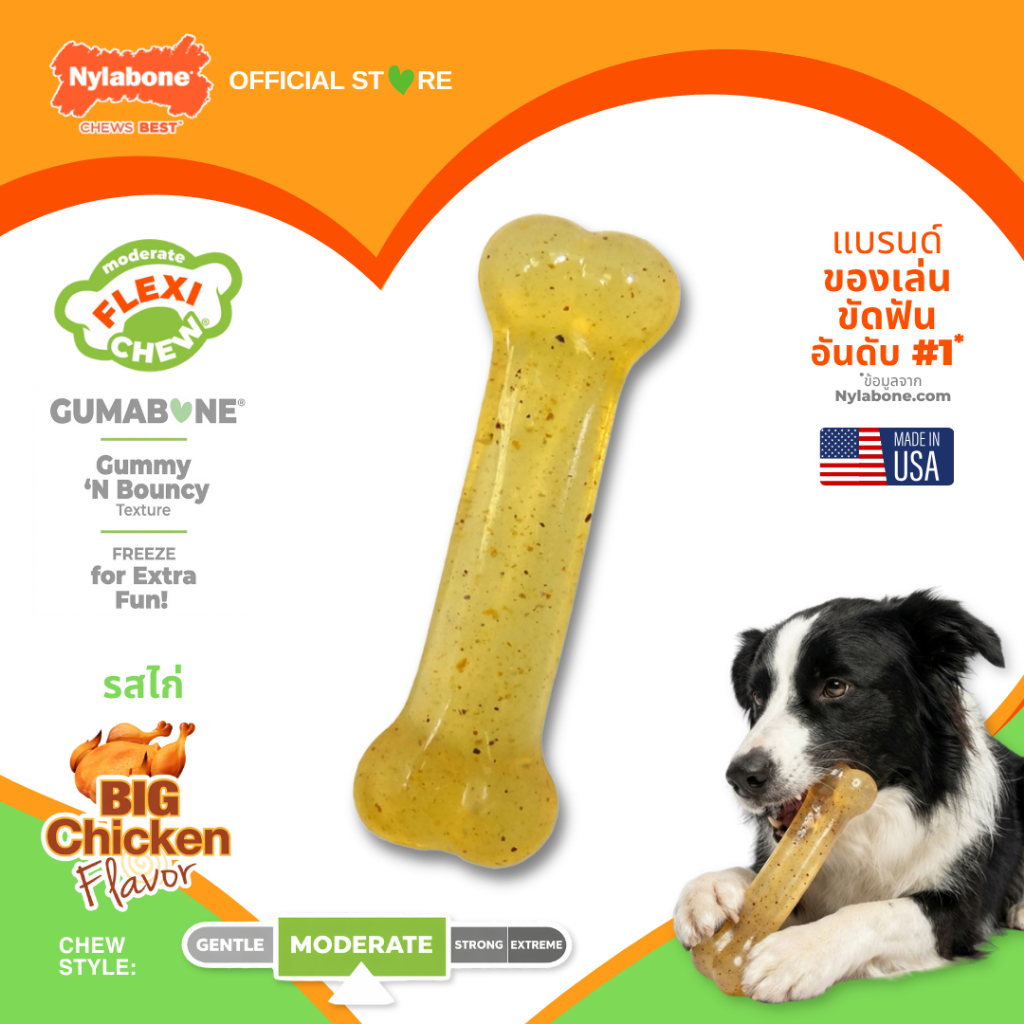 Nylabone Flexi Chew Gumabone Original Bone Chew Toy ของเล่นขัดฟันสุนัข เนื้อนุ่มไม่เจ็บปาก ไร้สารพิษ
